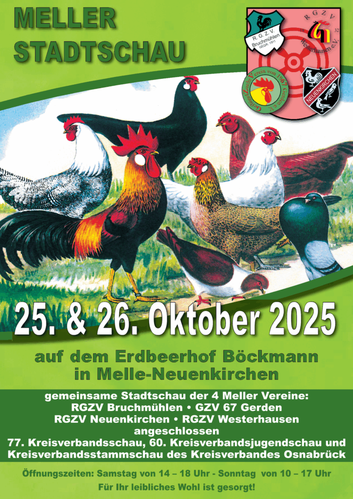 Plakat Meller Stadtschau 2025